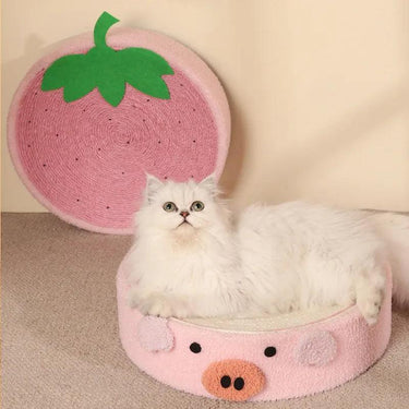 Whisker Whirl Cat Bed Scratcher KittyNook Cat Company